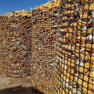 兰州养鸡巧用塑料围网与土工格栅 经济实用的养殖场建设方案